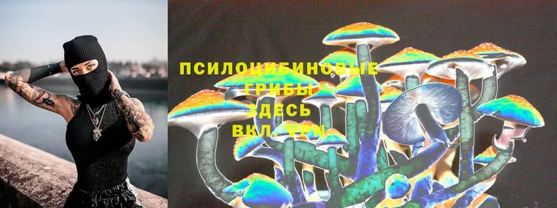 Галлюциногенные грибы Magic Shrooms  блэк спрут как зайти  Норильск 