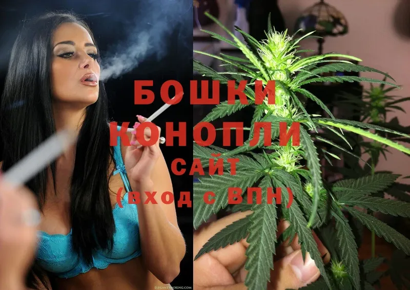 Бошки Шишки THC 21%  где купить   Норильск 